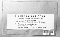 Image Associated With the Occurence